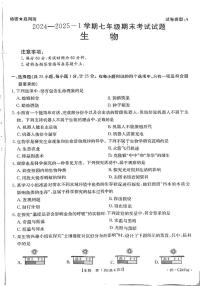陕西省延安市志丹县2024-2025学年七年级上学期1月期末生物试题