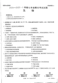陕西省延安市志丹县2024-2025学年七年级上学期1月期末生物试题