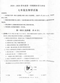 陕西省西安市长安区2024-2025学年七年级上学期生物期末试卷