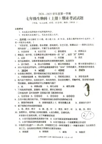 海南省文昌市202-2025学年七年级上学期期末考试生物试题