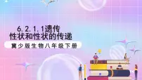 冀少版（2024）八年级下册第一节 遗传优秀ppt课件