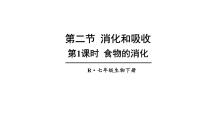 初中生物人教版（2024）七年级下册（2024）第四单元 人体生理与健康（一）第二章 人体的营养第二节 消化和吸收多媒体教学课件ppt