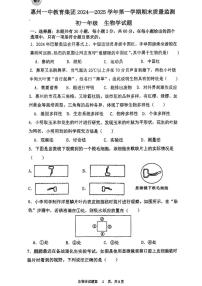 广东省惠州市第一中学教育集团2024-2025学年七年级上学期期末考试生物试题
