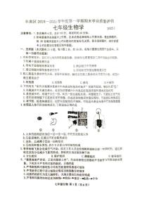 河北省唐山市丰南区2024-2025学年七年级上学期期末考试生物测试卷