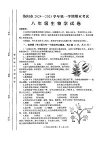 河南省洛阳市2024-2025学年八年级上学期期末考试生物学试卷