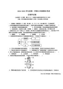 辽宁省沈阳市法库县2024-2025学年七年级上学期期末考试生物试题(1)
