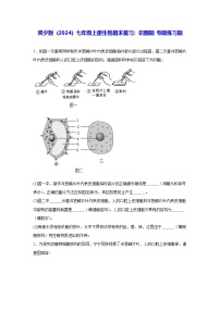 冀少版（2024）七年级上册生物期末复习：识图题 专题练习题（含答案）