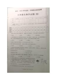 陕西省陕西省商洛市商南县2024-2025学年八年级上学期1月期末生物试题