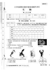 陕西省榆林市子洲县2024-2025学年八年级上学期期末教学素养测评生物试卷(四)