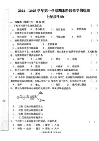 河南省周口市郸城县2024-2025学年七年级上学期1月期末生物试题