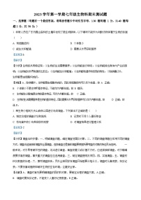 广东省广州市番禺区2023-2024学年七年级上学期期末生物试题（答案）