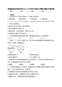 安徽省淮北市部分学校2024-2025学年七年级上学期1月期末生物试卷(含答案)