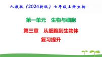 生物七年级上册（2024）综合实践项目 制作细胞模型复习ppt课件