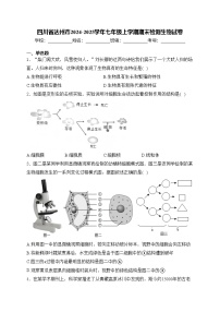 四川省达州市2024-2025学年七年级上学期期末检测生物试卷(含答案)