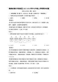 福建省莆田市荔城区2023-2024学年七年级上学期期末生物试卷（解析版）