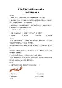 河北省石家庄市赵县2023-2024学年八年级上学期期末生物试卷（解析版）