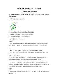 2023~2024学年山东省滨州市博兴县八年级上学期期末生物试卷（解析版）