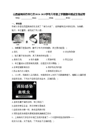 山西省朔州市怀仁市2024-2025学年八年级上学期期中测试生物试卷(含答案)