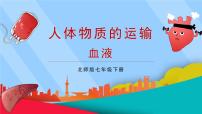 七年级下册（2024）第1节 血液评课课件ppt