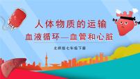 初中生物北师大版（2024）七年级下册（2024）第4单元 人体的结构和生理第7章 人体的物质运输第2节 血液循环教案配套ppt课件