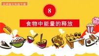 初中生物北师大版（2024）七年级下册（2024）第1节 食物中能量的释放教课课件ppt