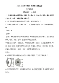 广东省茂名市电白区2023-2024学年七年级上学期期末 生物试题（含解析）