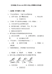 贵州省遵义市2024-2025学年七年级上学期期末 生物试题(含解析)