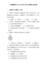 河南省濮阳市2023-2024学年七年级上学期期末 生物试题（含解析）