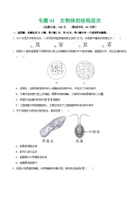 中考生物第二轮复习专题练习专题01 生物体的结构层次（测试）（原卷版）