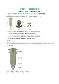 中考生物第二轮复习专题练习专题04 植物的生活（测试）（解析版）