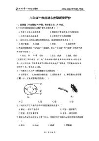 广东省阳江市第一中学实验学校2024-2025学年八年级上学期期末考试生物试题