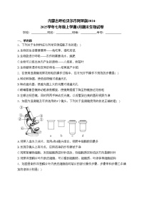 内蒙古呼伦贝尔市阿荣旗2024-2025学年七年级上学期1月期末生物试卷(含答案)