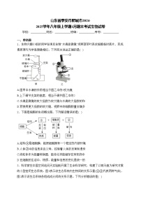 山东省泰安市肥城市2024-2025学年八年级上学期1月期末考试生物试卷(含答案)