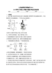 山东省泰安市肥城市2024-2025学年八年级上学期1月期末考试生物试卷(含答案)