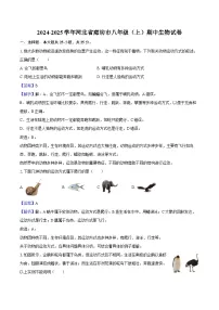 2024-2025学年河北省廊坊市八年级（上）期中生物试卷（含解析）