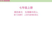 2025年中考知识整理七年级生物上册第十四课时　人体内废物的排出课件PPT