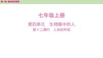 2025年中考知识整理七年级生物上册第十二课时　人体的呼吸课件PPT