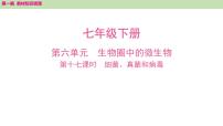 2025年中考知识整理七年级生物上册第十七课时　细菌、真菌和病毒课件PPT