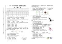 江西省赣州市寻乌县2024-2025学年七年级上学期期末考试生物试题