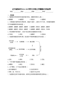 辽宁省铁岭市2024-2025学年七年级上学期期末生物试卷(含答案)