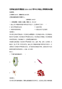 2024-2025学年甘肃省定西市渭源县七年级上学期期末生物试卷（解析版）