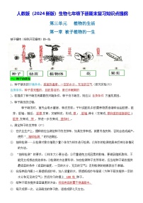 人教版（2024新版）生物七年级下册期末复习知识点提纲 学案