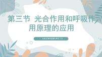 生物苏教版（2024）第3节 光合作用和呼吸作用评优课课件ppt