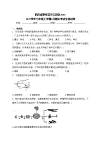 四川省攀枝花市仁和区2024-2025学年七年级上学期1月期末考试生物试卷(含答案)