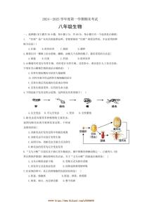 2024～2025学年广东省汕头市潮阳实验学校八年级上期末生物试卷(含答案)