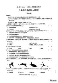 安徽省安庆市2024-2025学年八年级上学期期末调研生物试卷