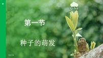 初中生物人教版（2024）七年级下册（2024）第一节 种子的萌发图文课件ppt