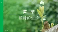 初中生物人教版（2024）七年级下册（2024）第三单元 植物的生活第一章 被子植物的一生第二节 植株的生长集体备课ppt课件