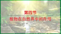 人教版（2024）七年级下册（2024）第四节 植物在自然界中的作用教课内容课件ppt