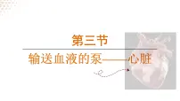 人教版（2024）七年级下册（2024）第三节 输送血液的泵 —— 心脏图文ppt课件